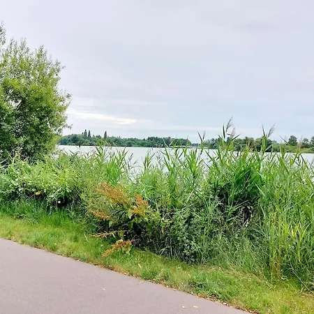Zentrale Ferienwohnung - Direkt Am See Und Schloss Schwerin  Eksteriør billede