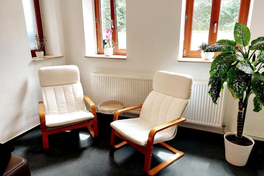 Zentrale - Direkt Am Und Schloss Schwerin (Mecklenburg-Vorpommern)